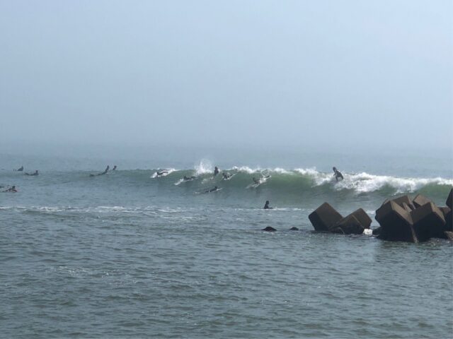 サーフィン初心者/ビギナーサーファー向け サーフポイントの選び方