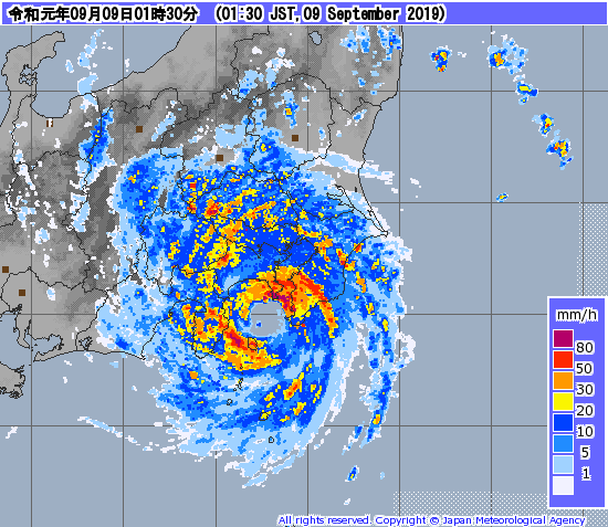 台風レーダー画像