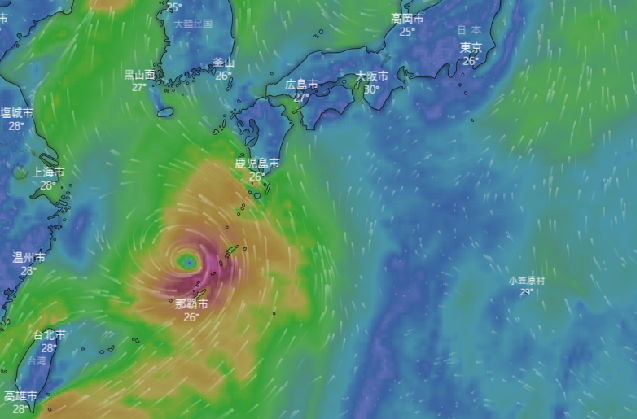 ECMWF