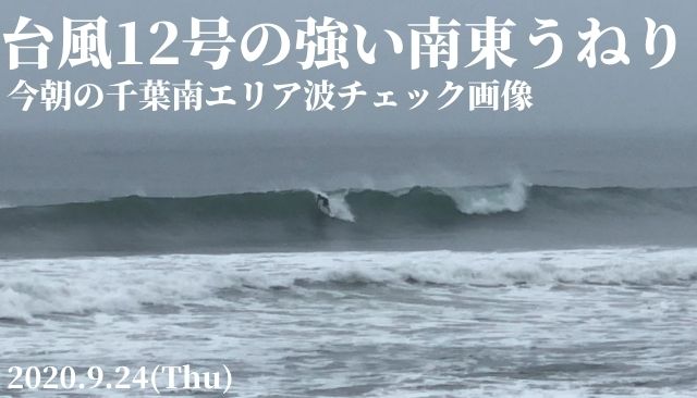 台風12号の波