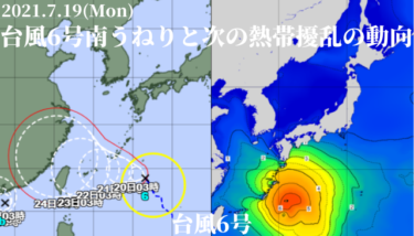 台風6号の南うねりの反応とオリンピックの波に影響する熱帯擾乱の動向【2021.7.19】