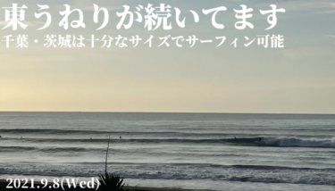 千葉・茨城は東うねりが十分なサイズで続きサーフィン楽しめてます【2021.9.8】