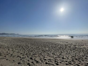 明日の昼から南西の風が金曜日まで続きそう【2023.3.7】