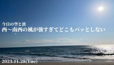 西～南西の風が強すぎてどこもパッとしない【2023.11.28】